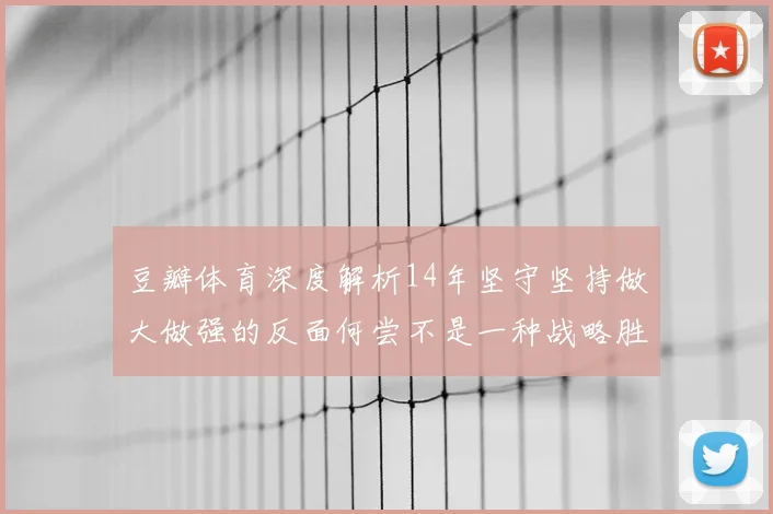 豆瓣体育深度解析14年坚守坚持做大做强的反面何尝不是一种战略胜利