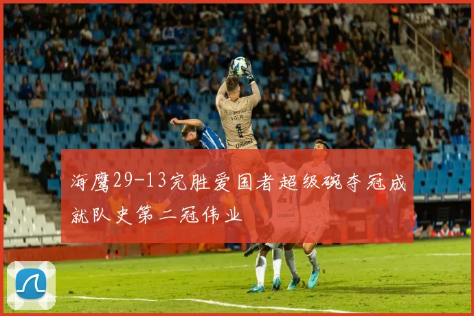 海鹰29-13完胜爱国者超级碗夺冠成就队史第二冠伟业