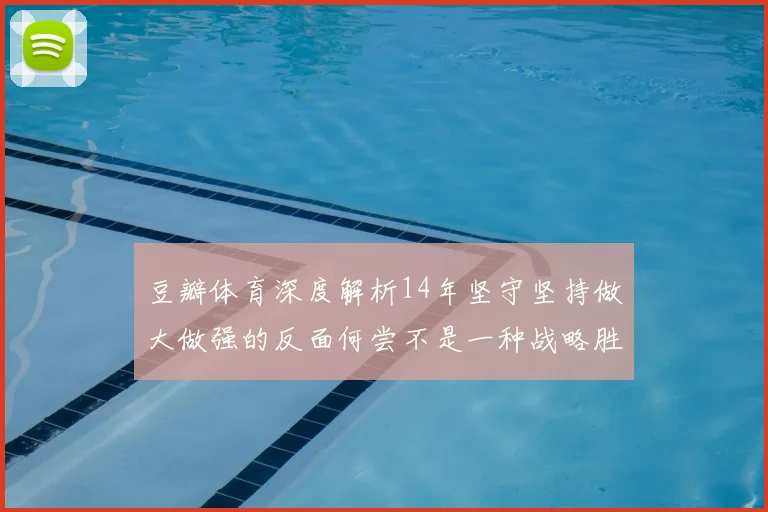 豆瓣体育深度解析14年坚守坚持做大做强的反面何尝不是一种战略胜利